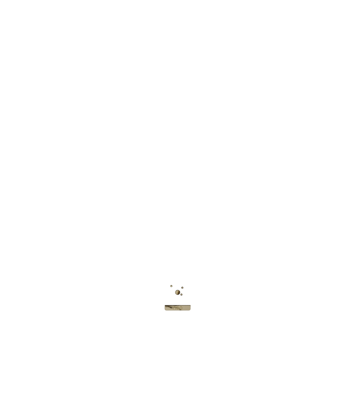 Neo ergo Badge