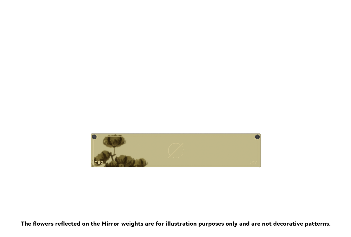 Neo65 Weight